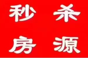 许建明