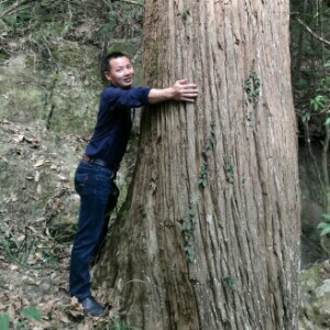 张通龙