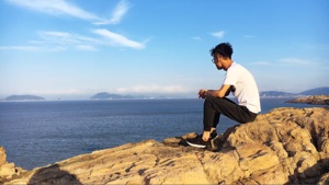 杨认